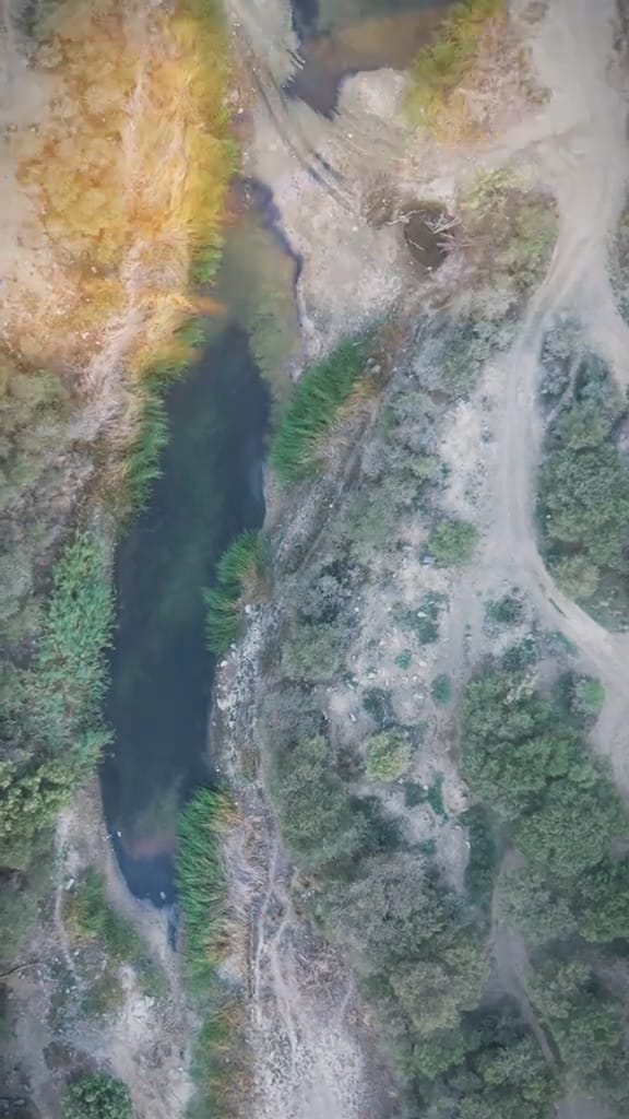 وادي ضبوعي بأبها